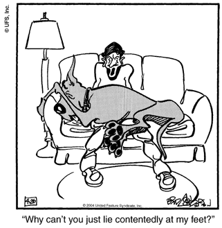 marmaduke